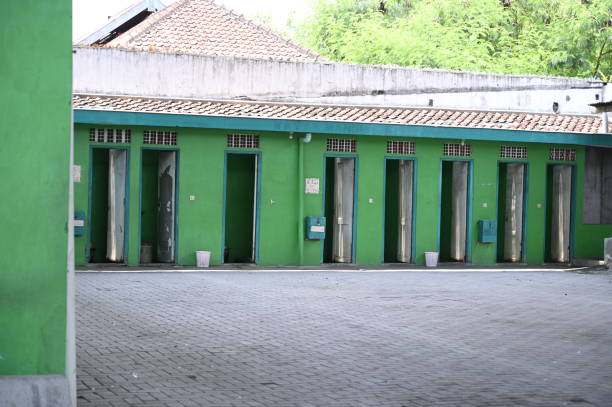 Best Local porta potty services  in Steele Creek, AK