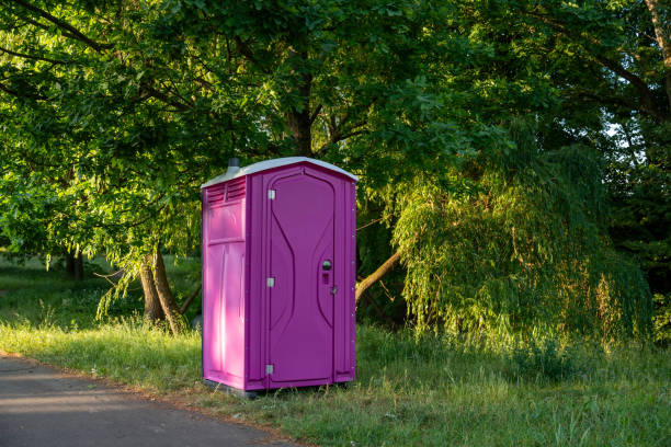 Best Local porta potty services  in Steele Creek, AK